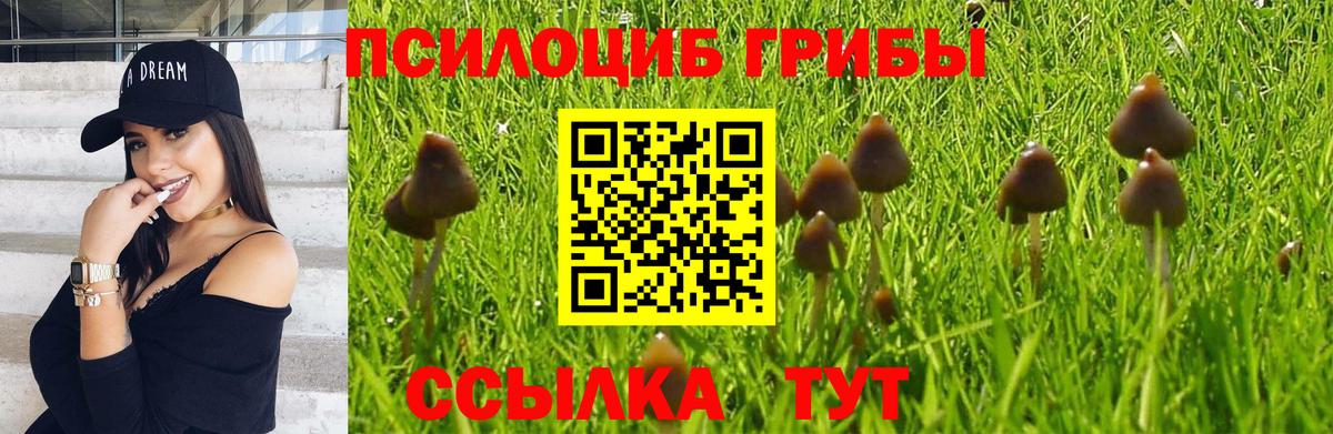 Вольск  Галлюциногенные грибы мухоморы  Вход с VPN  купить наркоту  Псилоцибиновые грибы ЛСД 